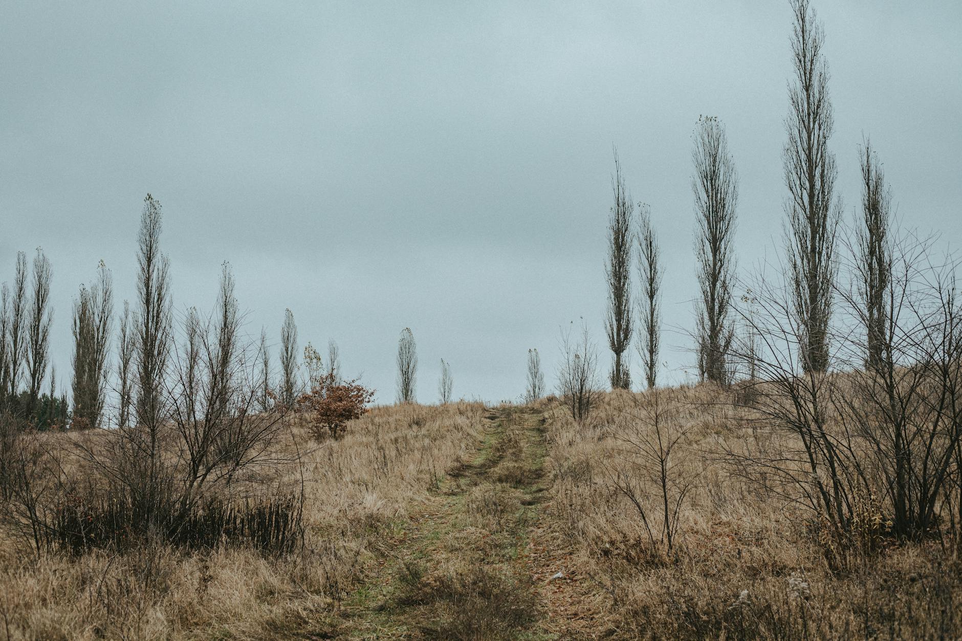Symboliczny obraz przedstawiający zielone serce na tle Starogardu Gdańskiego, nawiązujący do Dnia Ziemi i troski o środowisko.